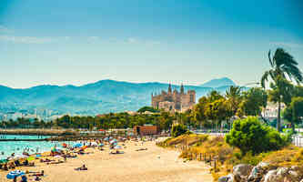Palma.jpg