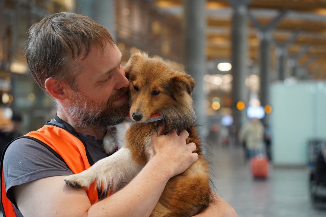 En mann med kort hår som står i t-skjorte og oransje refleksvest inne i terminalen og koser med en liten lysebrun hund som han holder i armene.